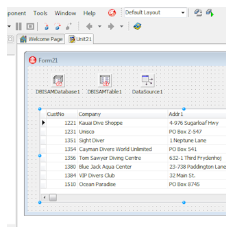 Memory use in Delphi - Developer Fields